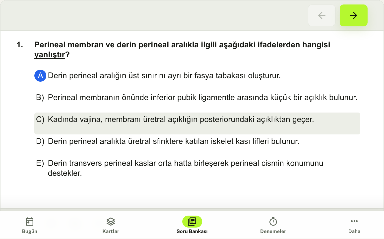 Soru çözme ekranı